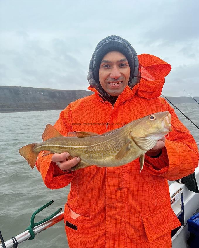 3 lb 8 oz Cod by Sikander