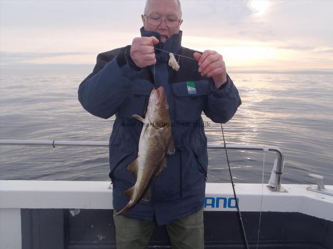 3 lb 8 oz Cod by Pete Tamms.