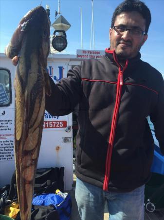 10 lb Ling by one of the lads from bradford 30/8 wrecking