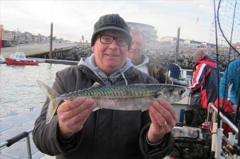 1 lb 8 oz Mackerel by Stephen Wake