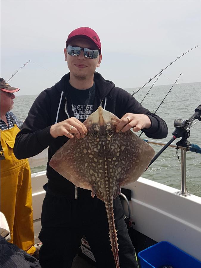 4 lb Thornback Ray by Archie