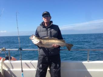 11 lb Pollock by Steve