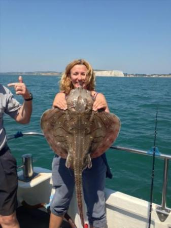 12 lb Undulate Ray by Unknown