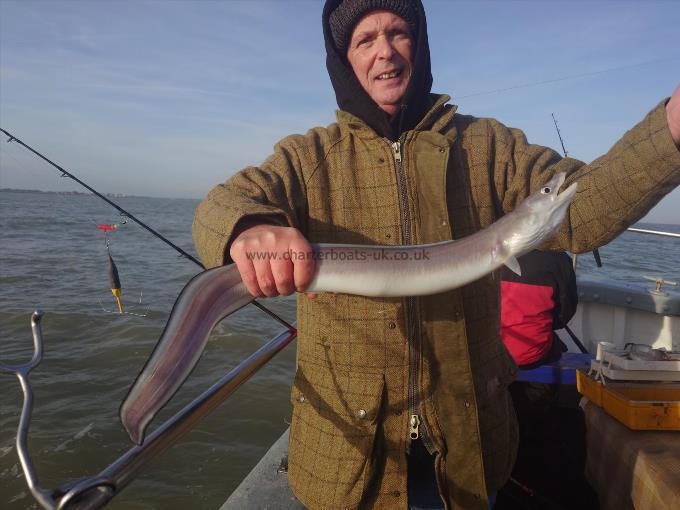 4 lb Conger Eel by Michael button