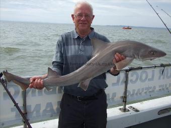 15 lb 7 oz Smooth-hound (Common) by Unknown