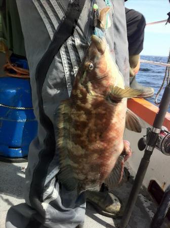 2 lb 13 oz Ballan Wrasse by Pete Rose