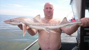 7 lb 2 oz Smooth-hound by Kevin from Rainham