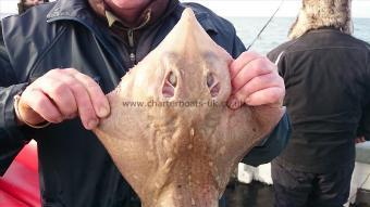 5 lb Thornback Ray by John from Broadstairs