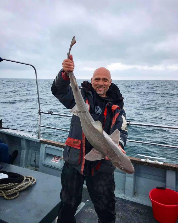 15 lb Starry Smooth-hound by Bryan