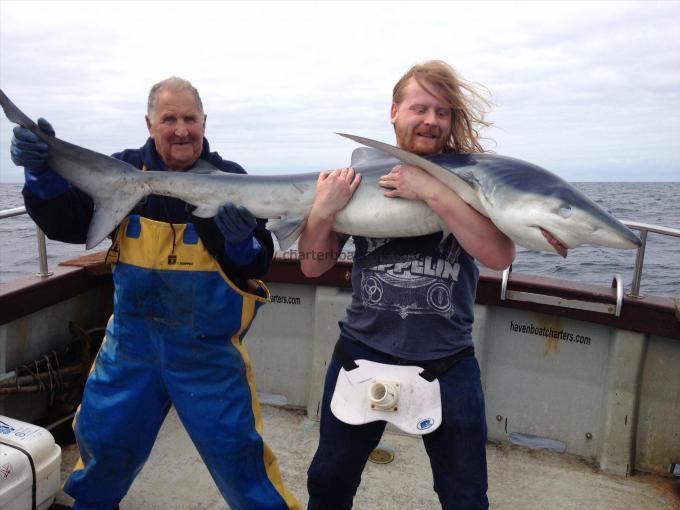 90 lb Blue Shark by JP