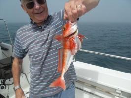 2 lb 5 oz Red Gurnard by Brian Dale