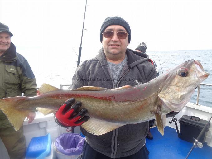 12 lb 2 oz Pollock by Unknown