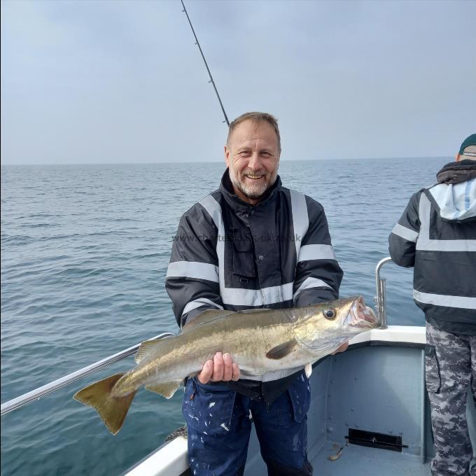 8 lb 4 oz Pollock by Unknown