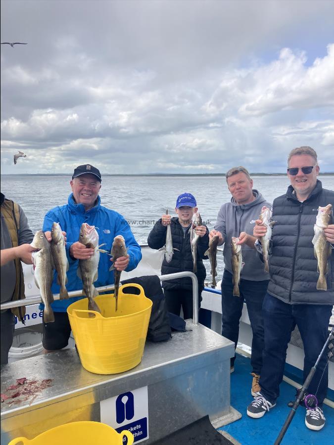 3 lb Cod by Unknown