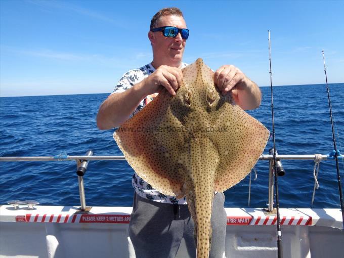 11 lb Blonde Ray by Martin