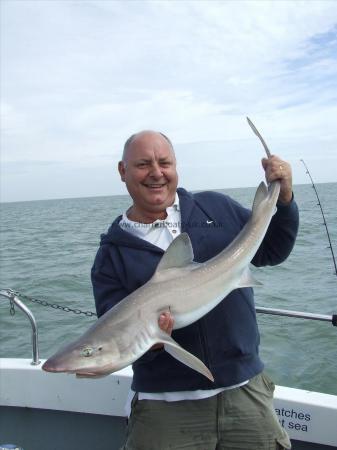 16 lb Starry Smooth-hound by russel