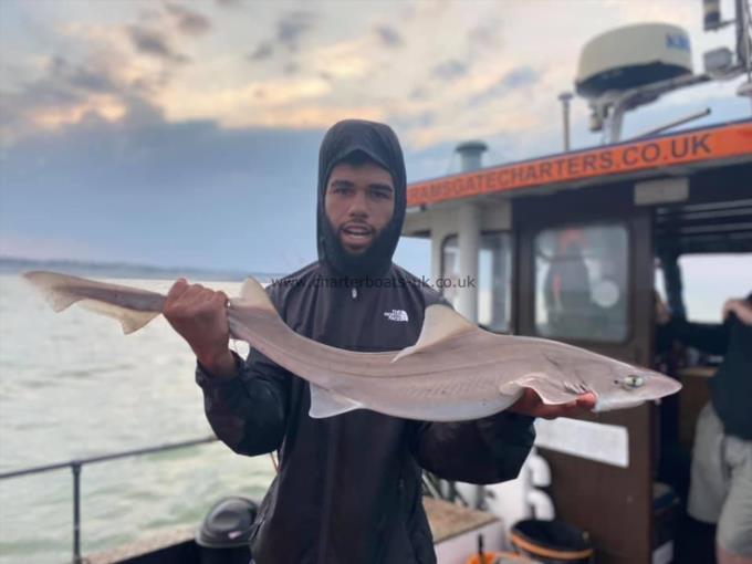 10 lb Smooth-hound by Unknown