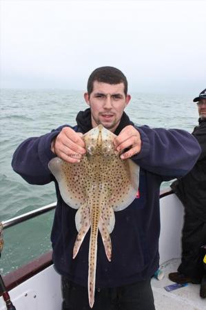 2 lb Spotted Ray by Andy