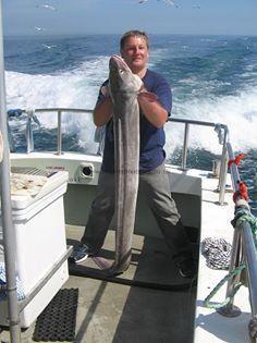 45 lb Conger Eel by Steve Jones