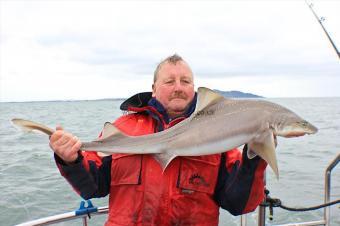 16 lb Starry Smooth-hound by Alan