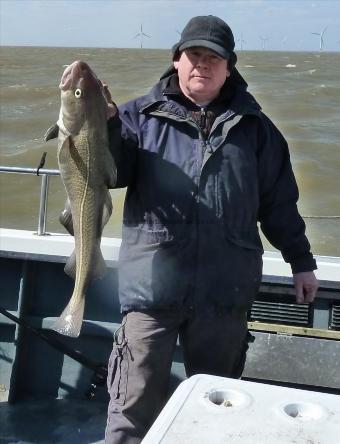 11 lb 8 oz Cod by Derek Mole