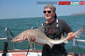 20 lb Starry Smooth-hound by Jim
