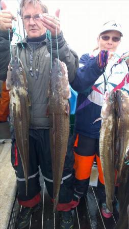 5 Kg Ling (Common) by bob and chris urry from hull