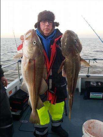 12 lb 4 oz Cod by Unknown