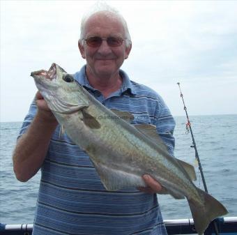 8 lb Pollock by Dave Buckland