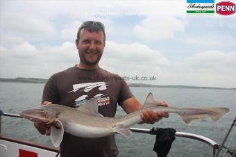 13 lb Starry Smooth-hound by Dan