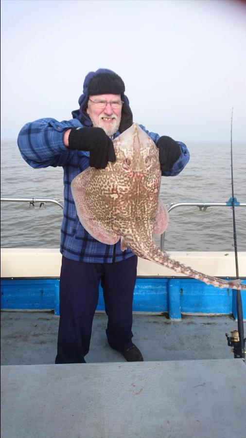 15 lb Thornback Ray by Unknown