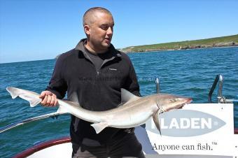 16 lb Starry Smooth-hound by Dave Mc