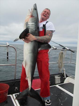 150 Kg Porbeagle by andrew logan