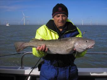 7 lb Cod by Derek Mole