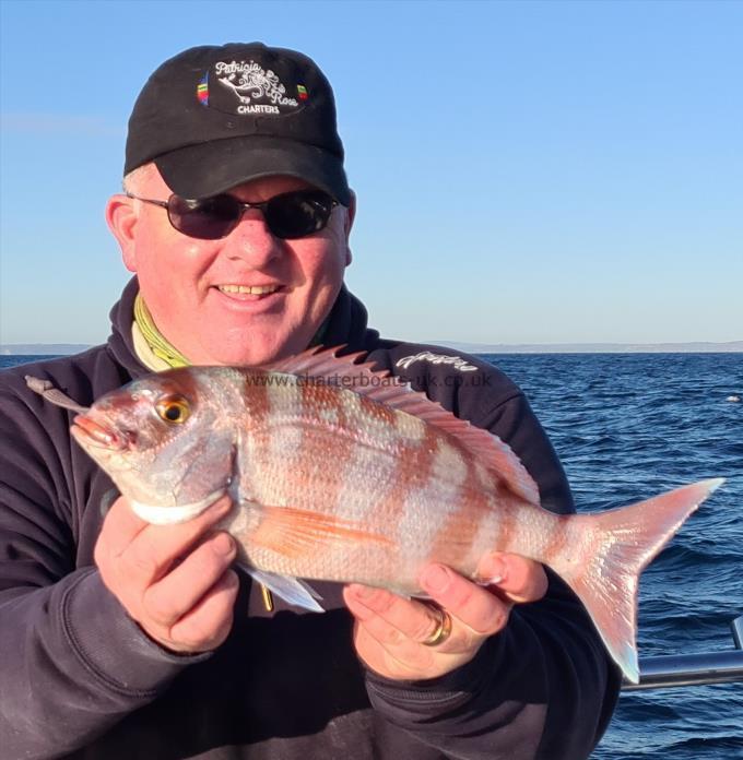 2 lb Couch's Sea Bream by Skipper Andy
