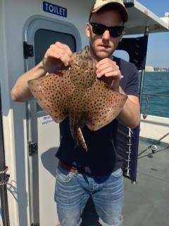 2 lb 6 oz Spotted Ray by Unknown