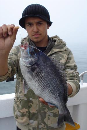 3 lb 4 oz Black Sea Bream by izzy