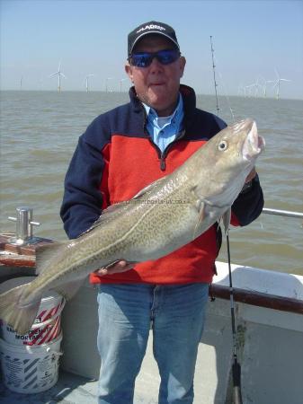 14 lb Cod by stuart belbin