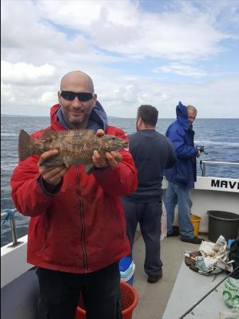 1 lb 4 oz Ballan Wrasse by Andy