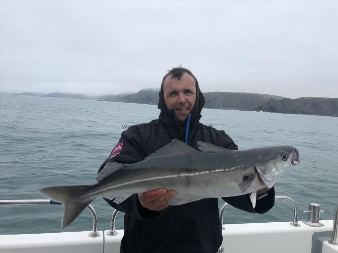 5 lb 12 oz Coalfish (Coley/Saithe) by Daniel hawkins