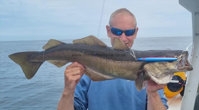 12 lb 6 oz Pollock by Unknown