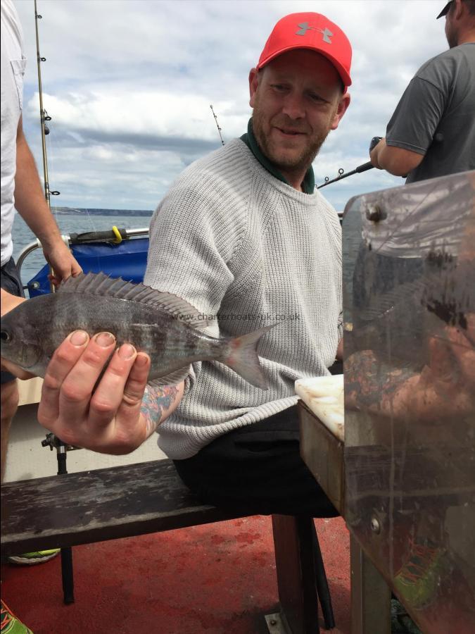 1 lb Black Sea Bream by Unknown