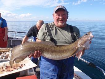 12 lb Ling (Common) by Steve from Burton on Trent.