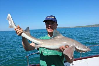 12 lb Starry Smooth-hound by Geordie Dave :)