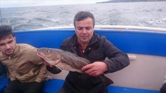 3 lb 6 oz Cod by Unknown