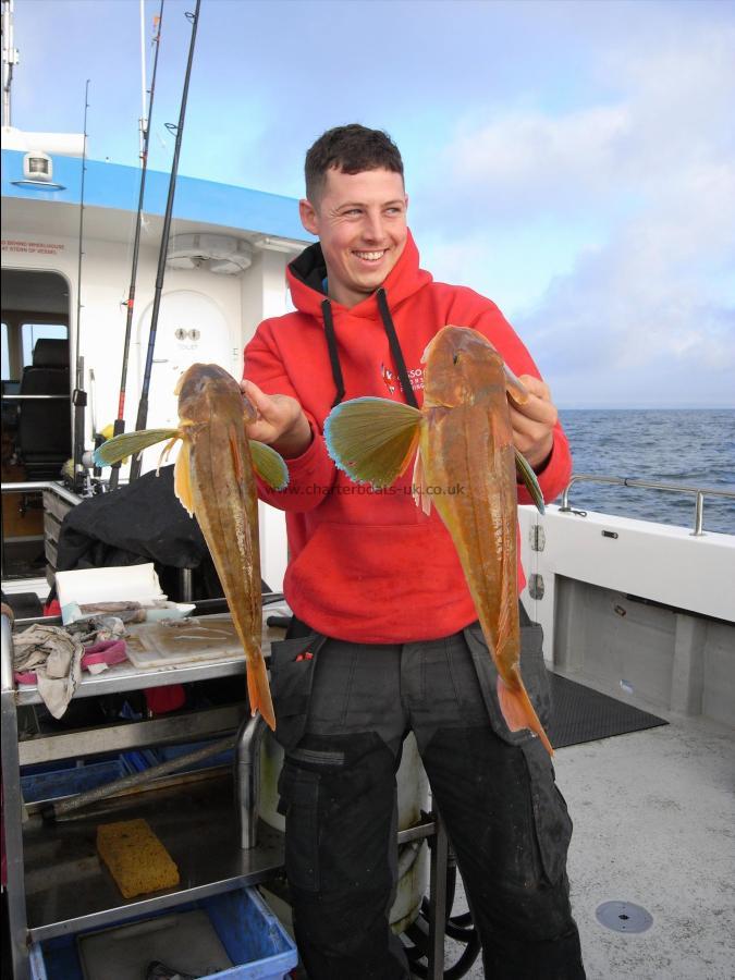 3 lb Tub Gurnard by Unknown