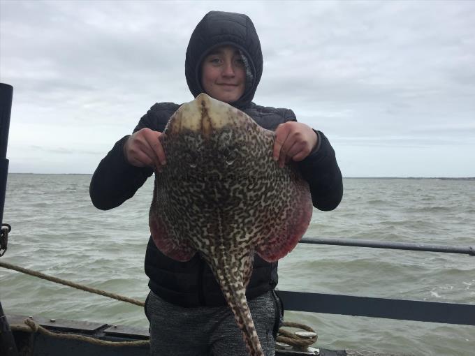 12 lb Thornback Ray by Unknown