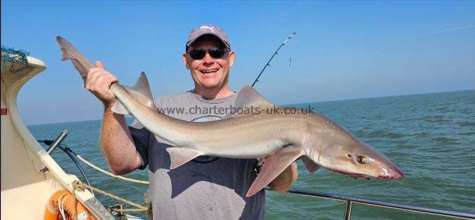 15 lb 7 oz Starry Smooth-hound by Keith