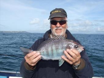 3 lb Black Sea Bream by Jim Stone