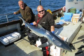 75 lb Blue Shark by Marc Combes